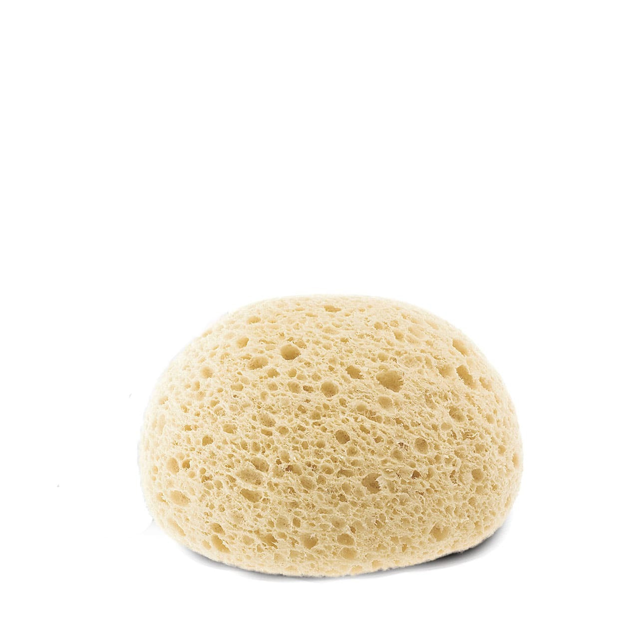 ESPONJA O MESES- CHICCO