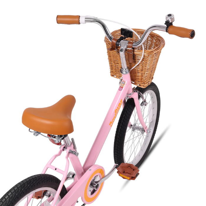 Bicicleta VINTAGE