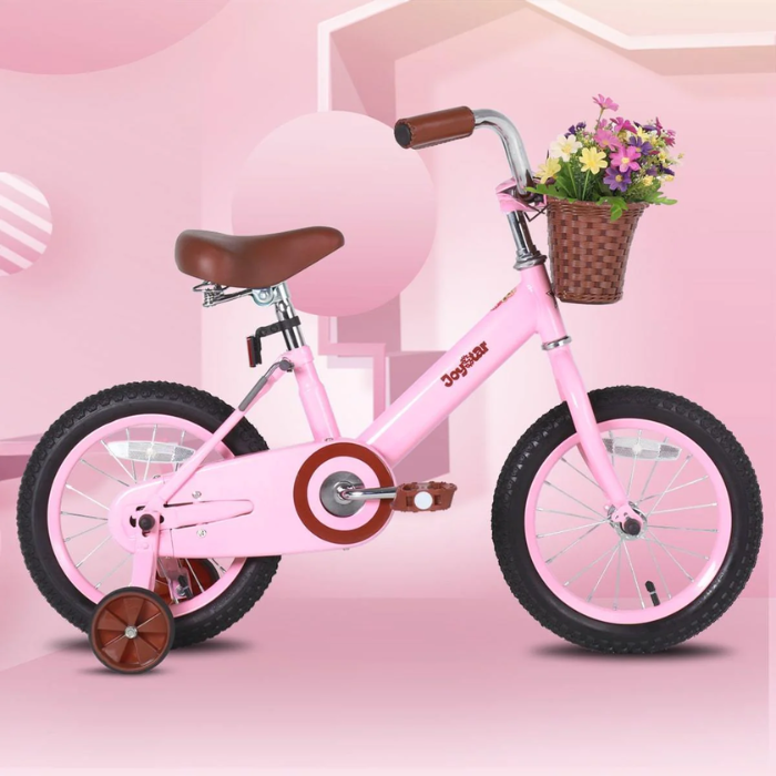 Bicicleta VINTAGE