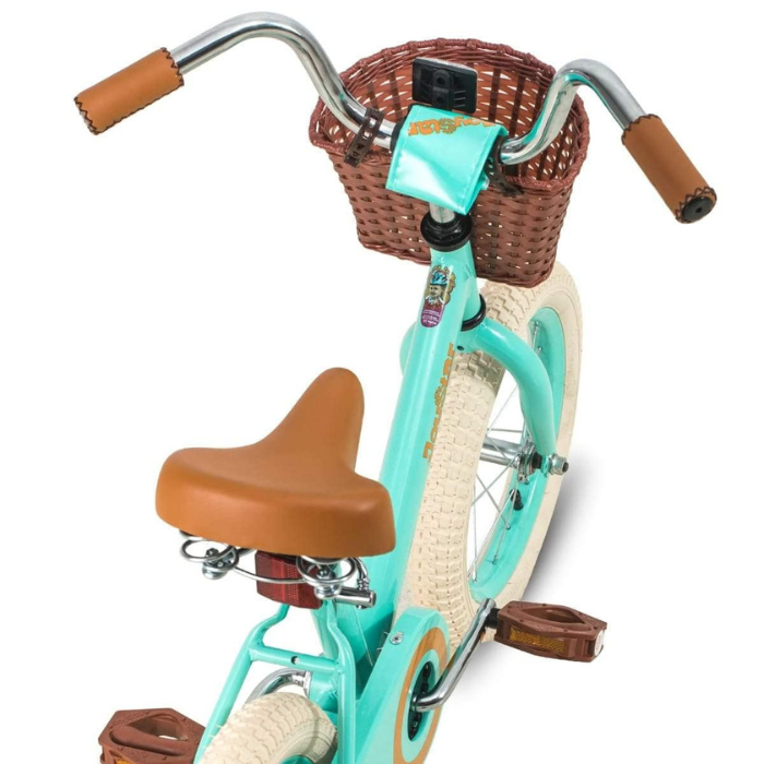 Bicicleta VINTAGE