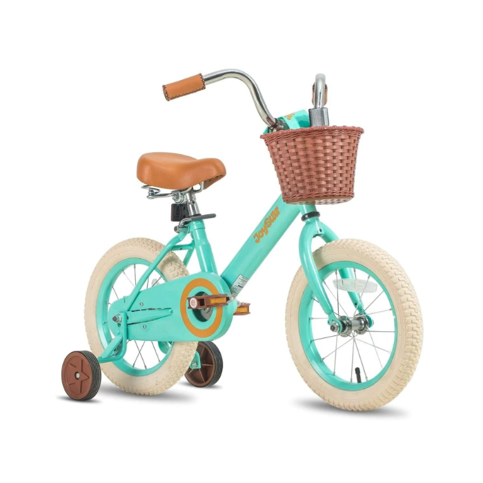 Bicicleta VINTAGE